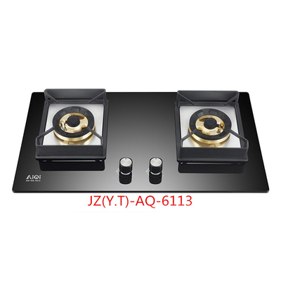 JZ(Y.T)-AQ-6113